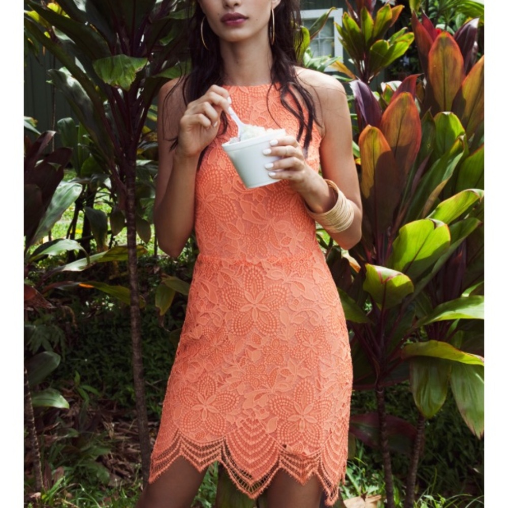 NWOT for love and lemons dress